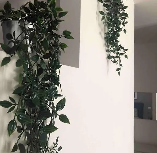 In Zona A Uso Esclusivo